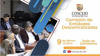 Comisión de Entidades Descentralizadas