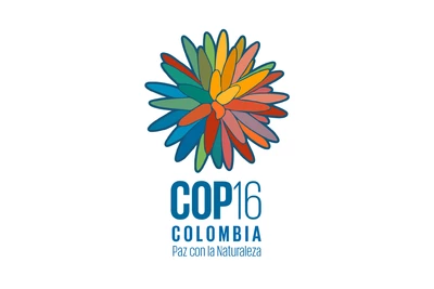 Falta mayor información para promocionar interna y externamente la COP16: Concejales