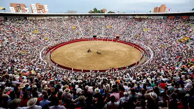 Qué gobierno distrital diga cuál es su posición respecto las corridas de toros